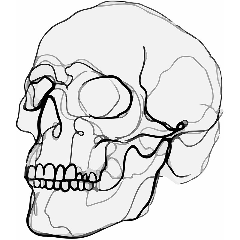 Πίνακας σε καμβά Line Art Skull